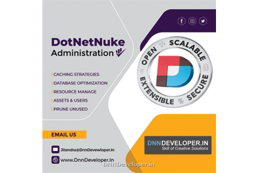 DNN development company