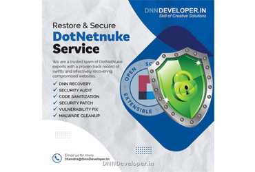 DotNetNuke development services